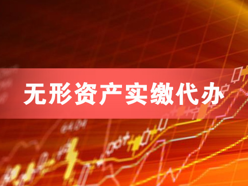 河池无形资产实缴资本代办