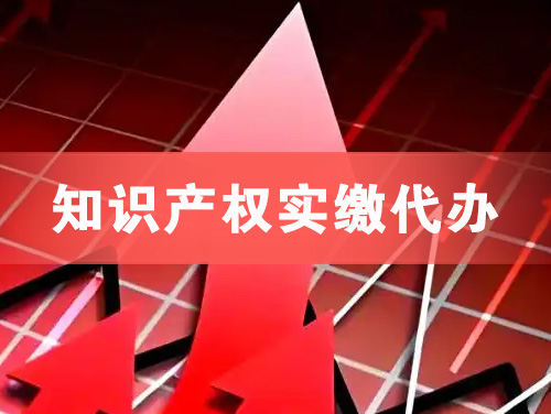 河池知识产权实缴资本代办